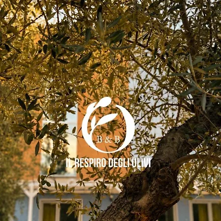 Il Respiro Degli Ulivi Oliveto Citra